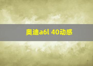 奥迪a6l 40动感